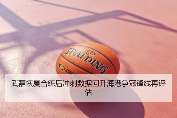 武磊恢复合练后冲刺数据回升海港争冠锋线再评估